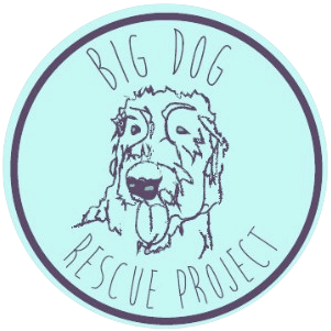 Big Dog Rescue Project