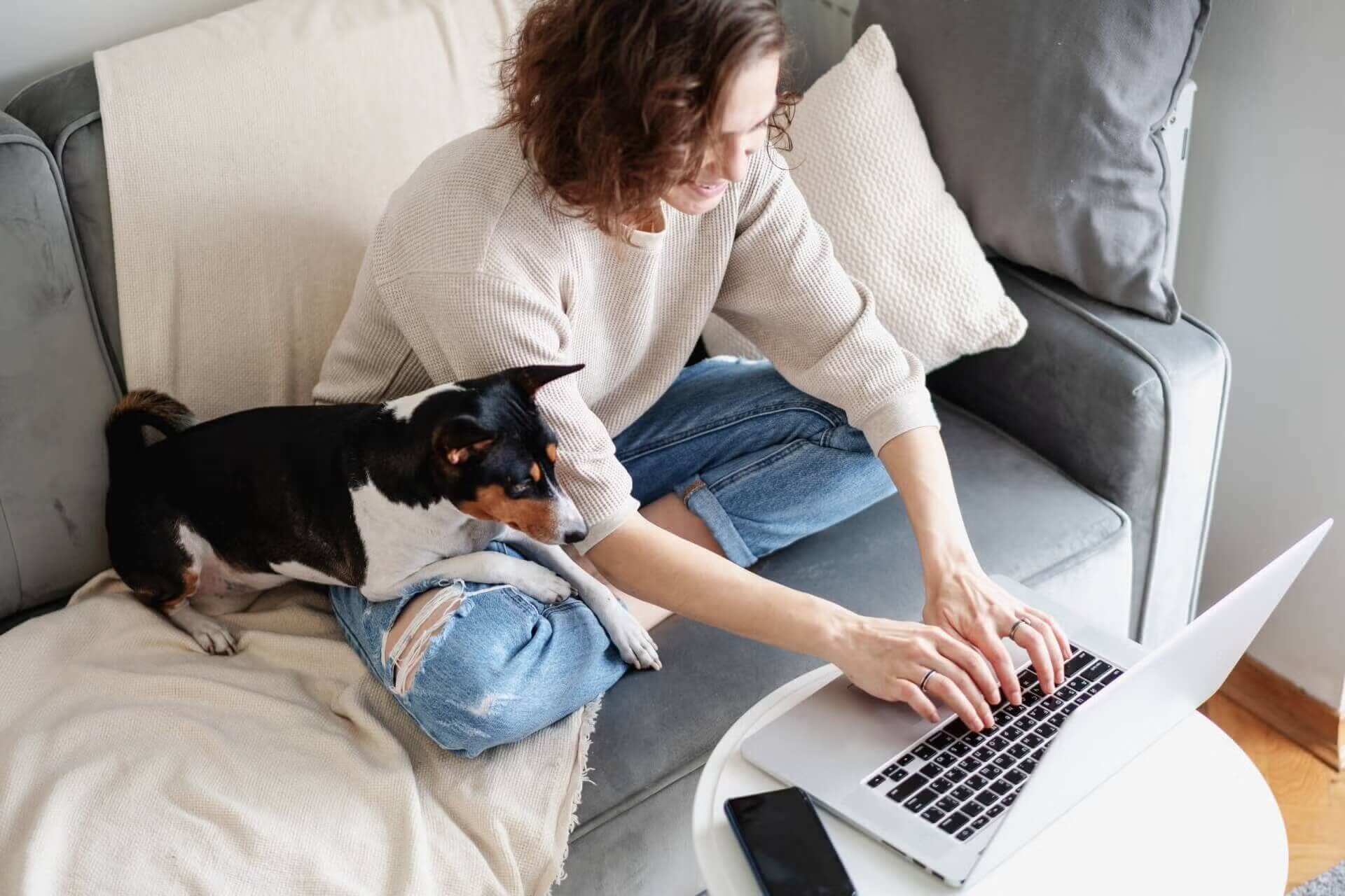 Veterinary hospital in&nbsp;Arlington Mobile