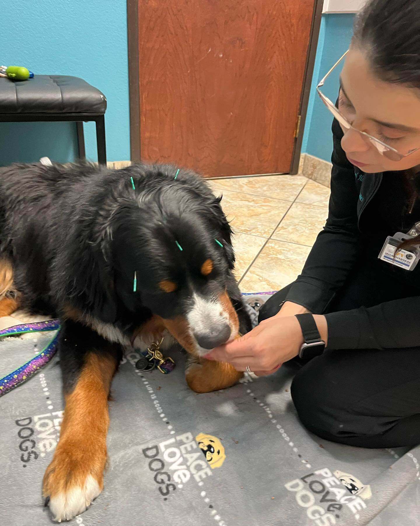 Vanessa-and-Quinllin-getting-Acupuncture